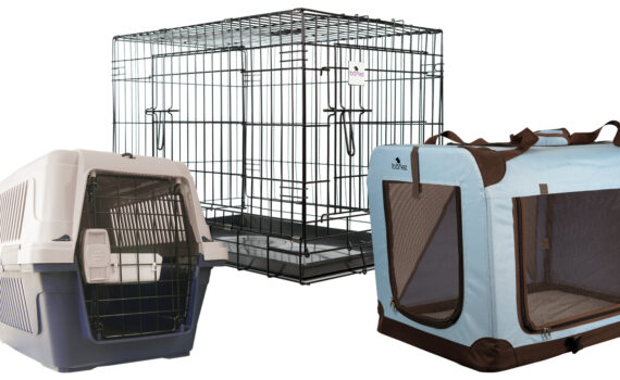 Jaula metálica, de loneta y transportín para perros